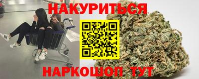гидропоника Будённовск
