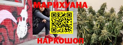 гидропоника Будённовск