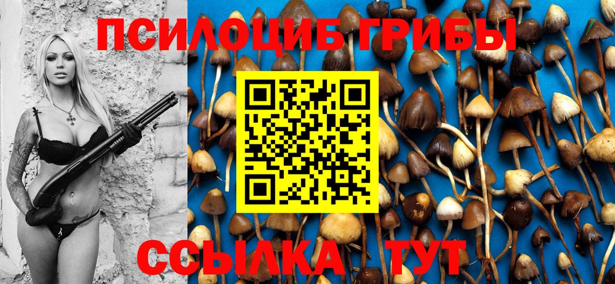 Псилоцибиновые грибы Psilocybe  хочу наркоту  Дятьково  Вход с VPN 